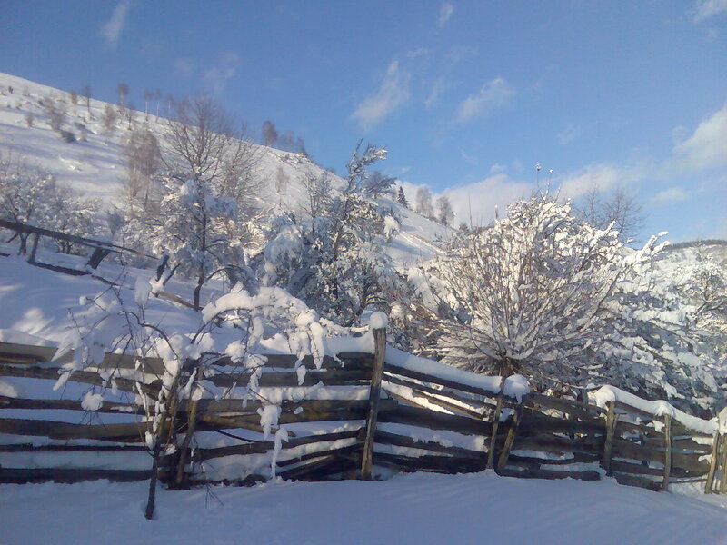 Snow-covered Fence in Winter — White