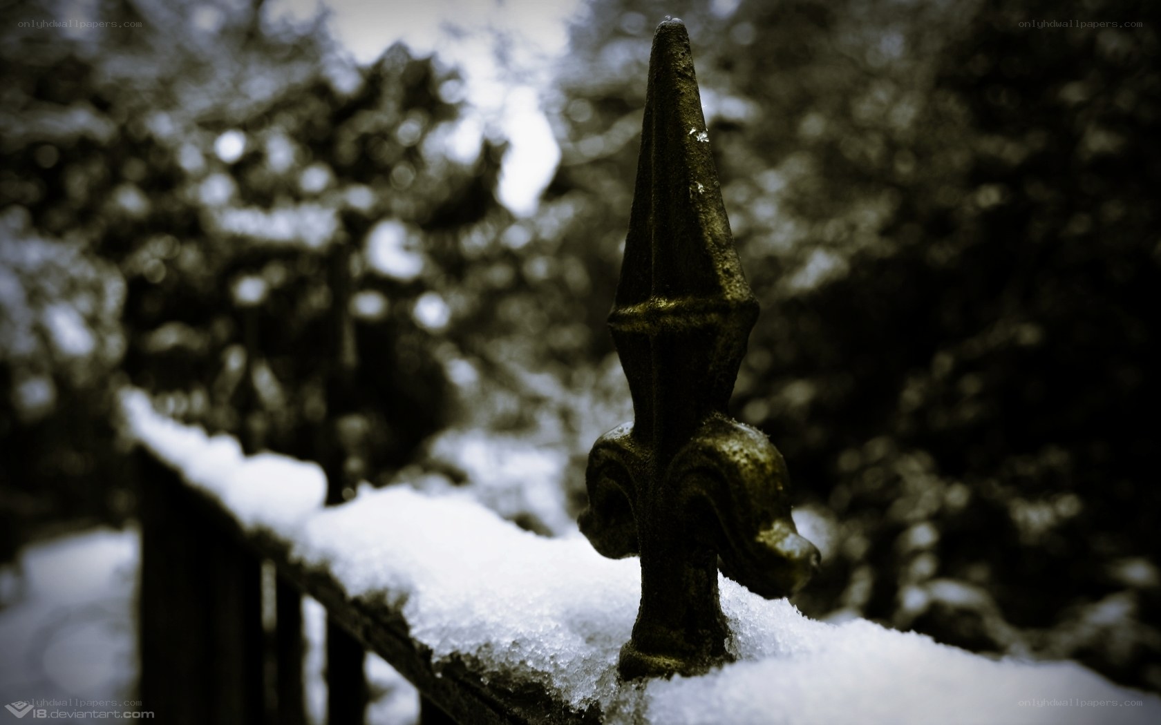 snow-covered fence post