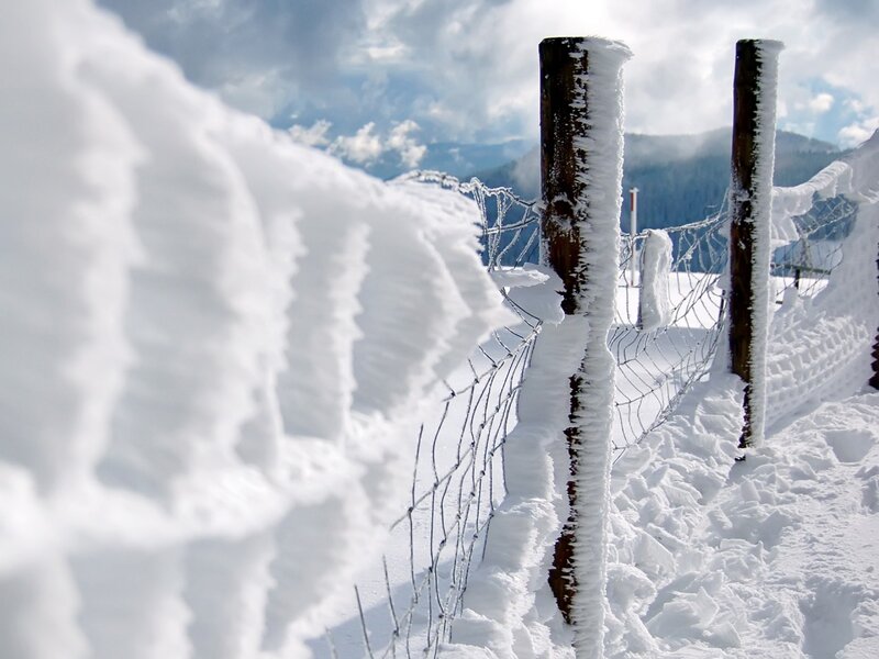 Snow-covered Fence