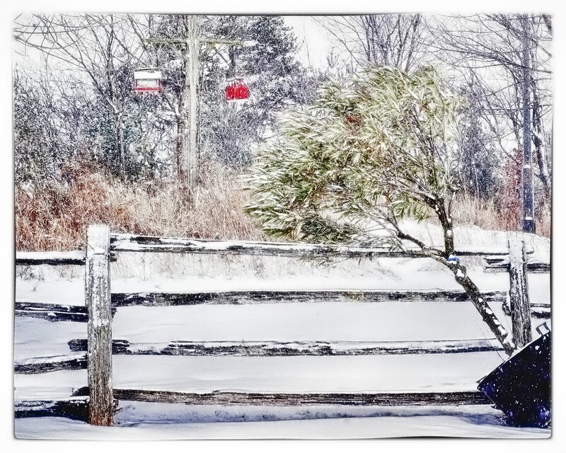 Snow-covered Fence — White, Calm