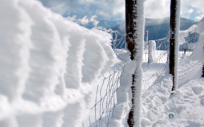 Snow-covered Fence — White, Cold