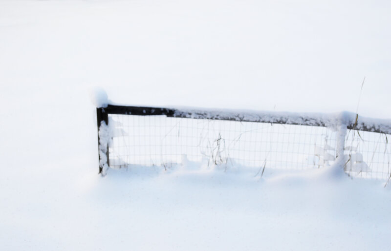 Snow-covered Fence — White, Cold, Winter, Photograph, Snow
