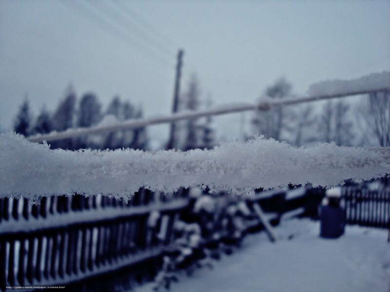 Snow-covered Fence — White, Cold, Winter, Photograph, Trees