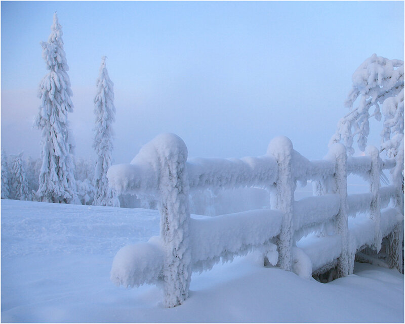 Snow-covered Fence — White, Serene