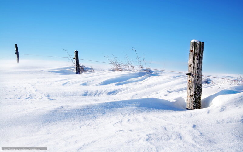 Snow-covered Fence — White, Serene, Winter, Photograph, Fence Post, Wire