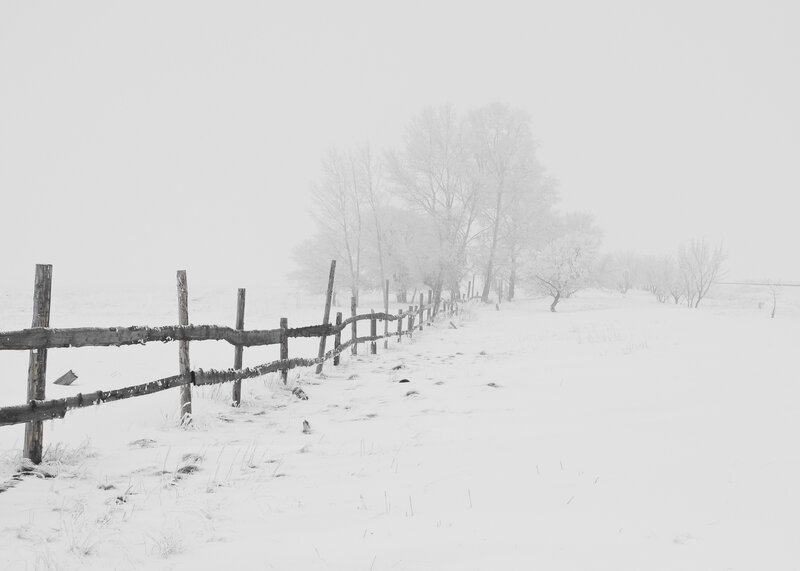 Snow-covered Fence — White, Serene, Winter, Photograph, Trees, Field
