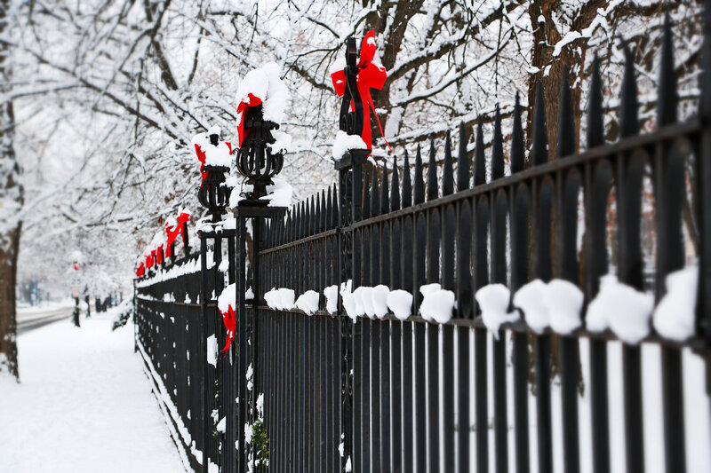 Snow-covered Fence with Bows