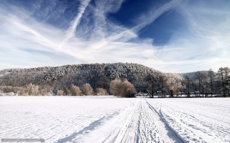 Snow-covered Field and Forest