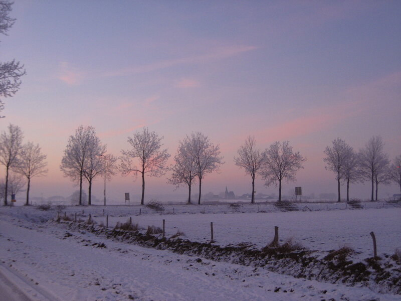 Snow-covered Field at Dawn — Purple