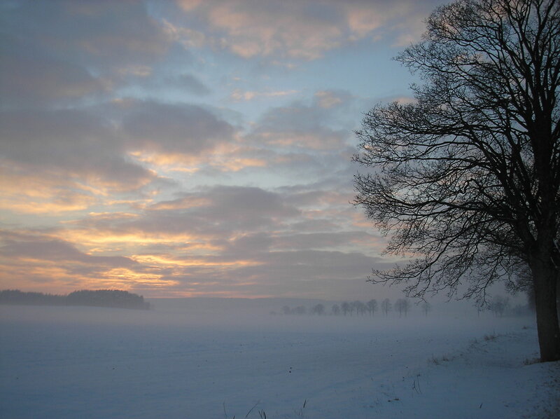 Snow-covered Field at Dawn — White