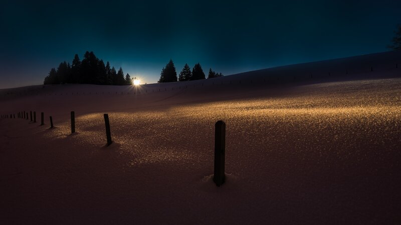 Snow-covered Field at Dusk — Blue, Serene, Night, Photograph, Trees, Fence Posts