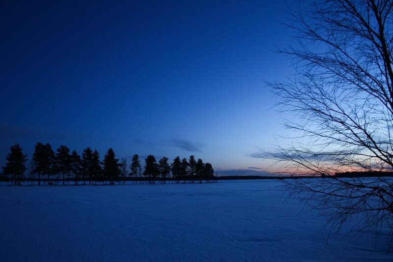 Snow-covered Field at Dusk — Blue, Serene, Night, Photograph, Trees