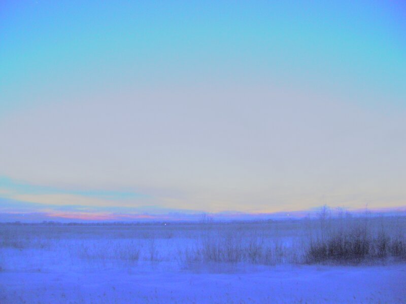 Snow-covered Field at Dusk — Blue, Serene, Winter, Photograph, Sky, Trees