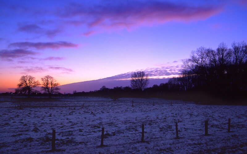 Snow-covered Field at Dusk — Purple, Serene, Winter, Photograph