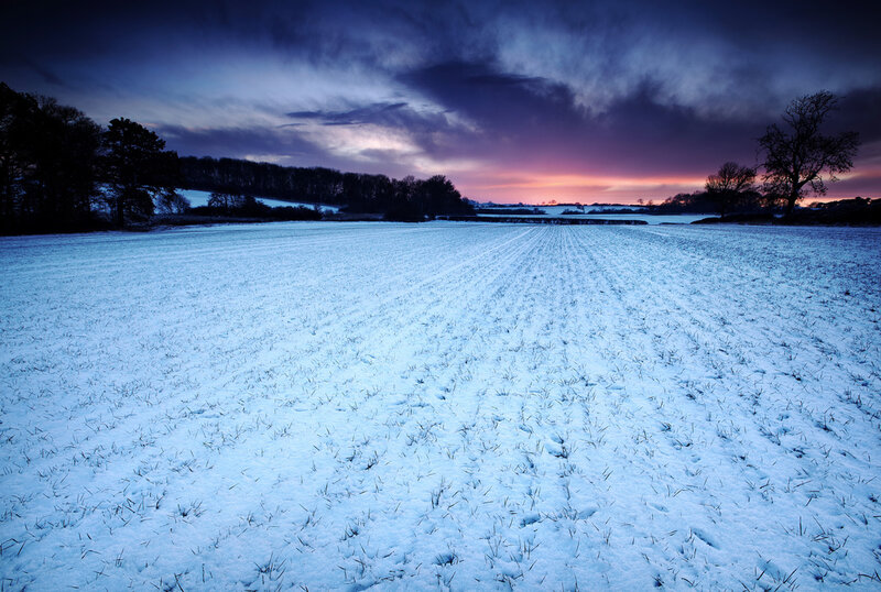 Snow-covered Field at Dusk
