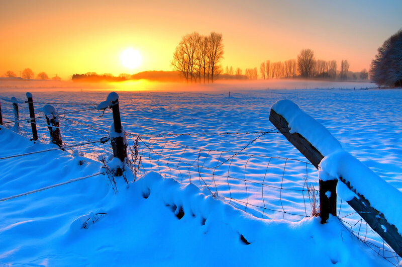 Snow-covered Field at Sunrise — Blue, Serene
