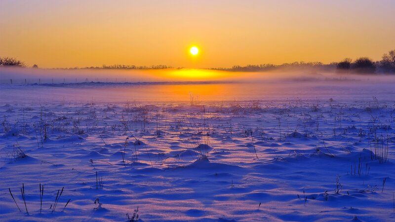Snow-covered Field at Sunrise — Blue, Serene, Winter, Photograph