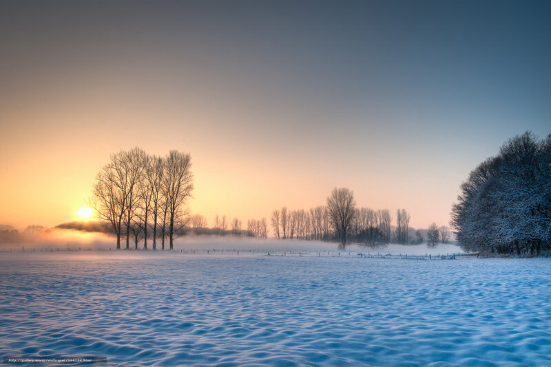 Snow-covered Field at Sunrise — Blue, Serene, Winter, Photograph, Trees