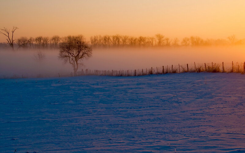 Snow-covered Field at Sunrise — Blue, Serene, Winter