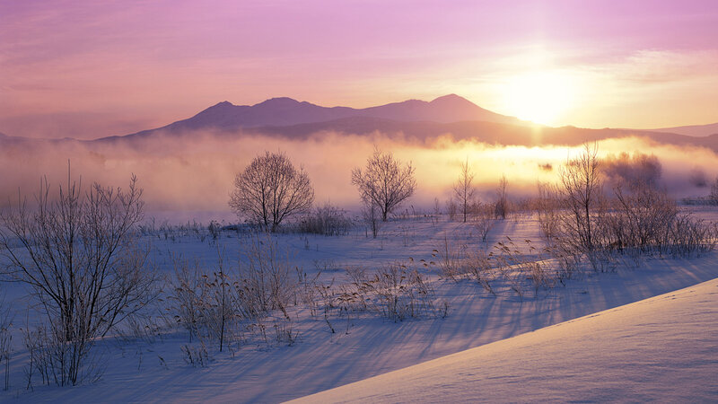 Snow-covered Field at Sunrise — Purple, Serene