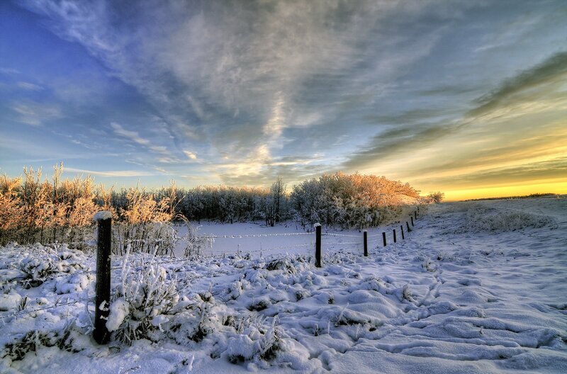 Snow-covered Field at Sunrise — White, Serene, Photograph, Fence