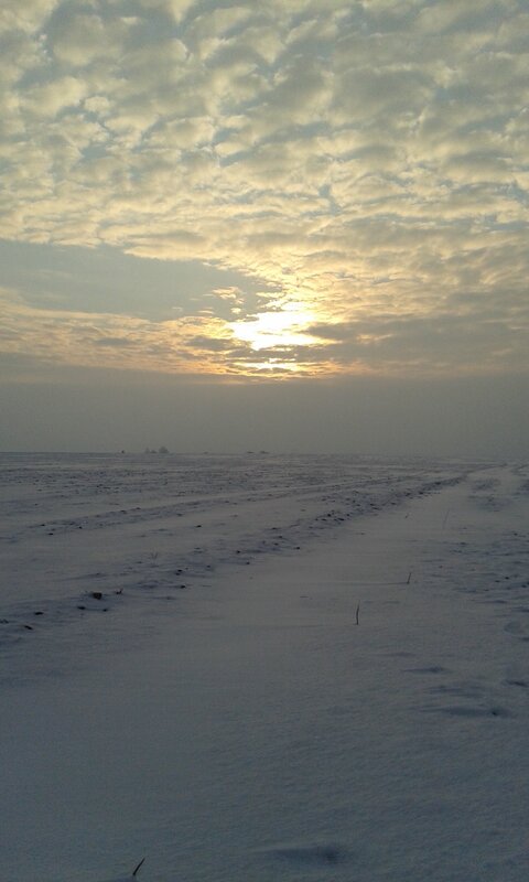 Snow-covered Field at Sunrise — White, Serene, Winter, Photograph, Sky