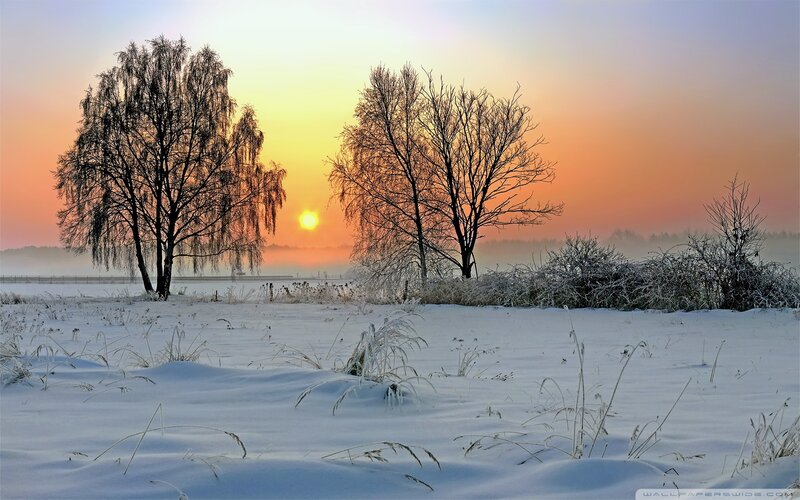 Snow-covered Field at Sunrise — White, Serene, Winter, Photograph