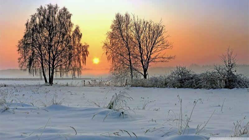Snow-covered Field at Sunrise — White, Serene, Winter, Photograph, Trees, Sun
