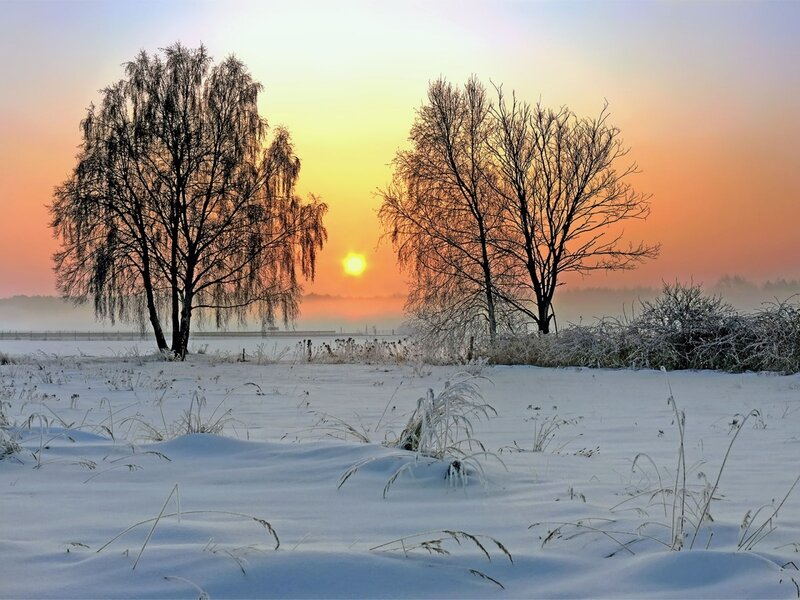 Snow-covered Field at Sunrise — White, Serene, Winter