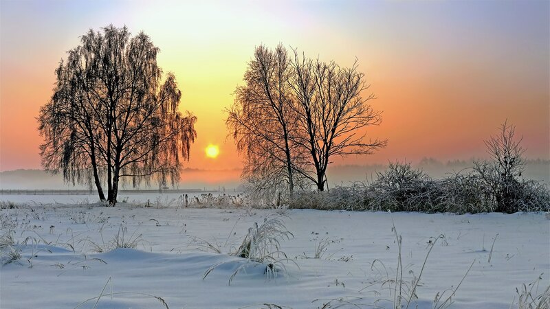 Snow-covered Field at Sunrise — White