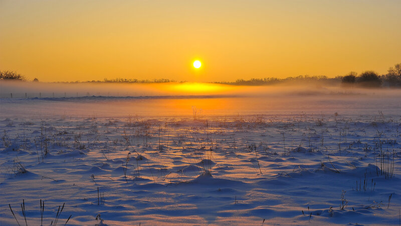 Snow-covered Field at Sunrise — Yellow, Serene