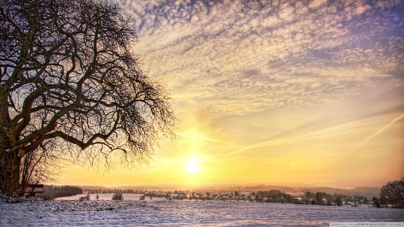 Snow-covered Field at Sunrise — Yellow, Serene, Winter, Photograph