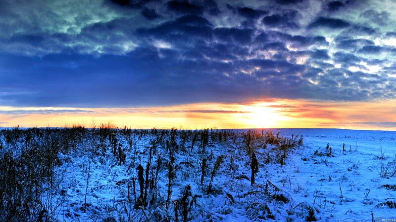 Snow-covered Field at Sunset — Blue, Dramatic, Winter, Photograph