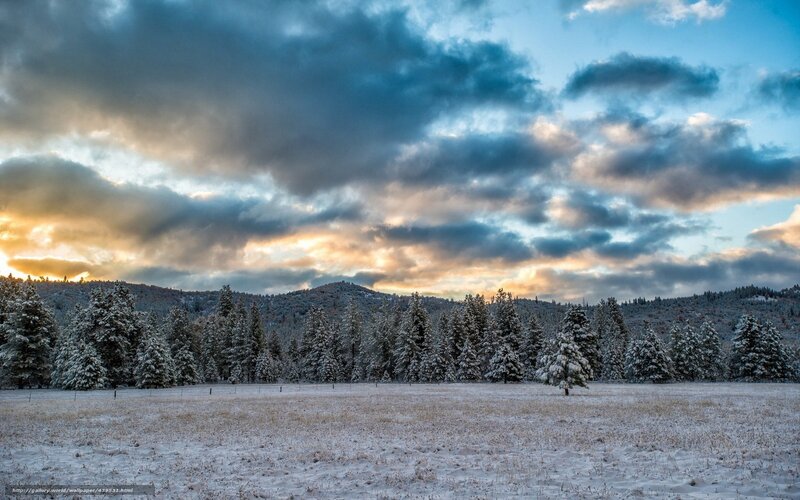 Snow-covered Field at Sunset — Blue, Dramatic, Winter, Photograph, Trees