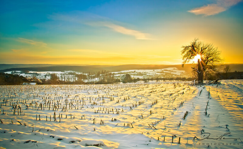 Snow-covered Field at Sunset — Blue, Serene, Photograph