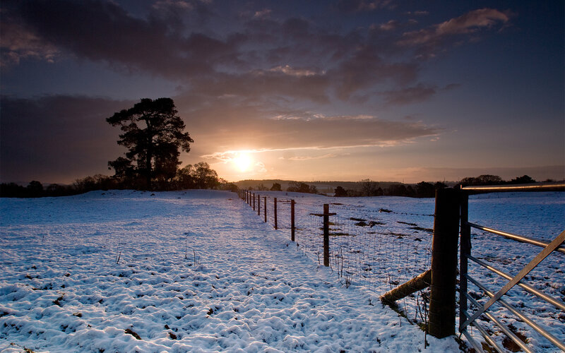 Snow-covered Field at Sunset — Blue, Serene, Photograph, Tree