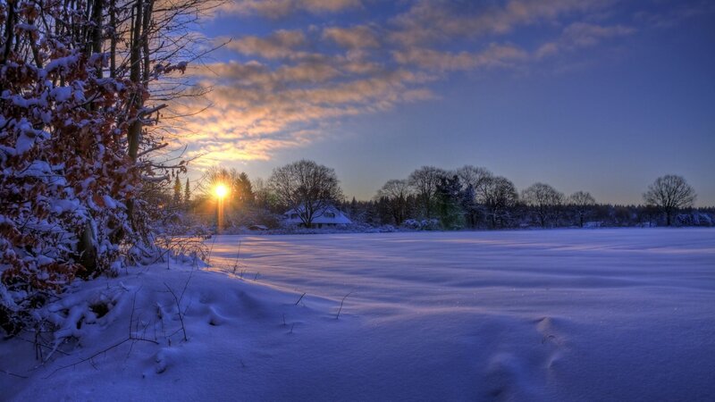 Snow-covered Field at Sunset — Blue, Serene, Photograph, Trees, House