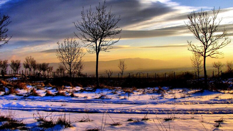 Snow-covered Field at Sunset — Blue, Serene, Photograph, Trees