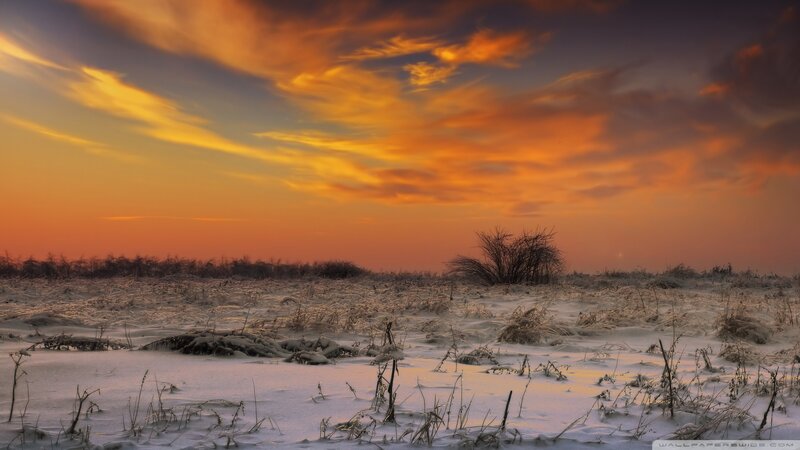 Snow-covered Field at Sunset — Orange, Dramatic