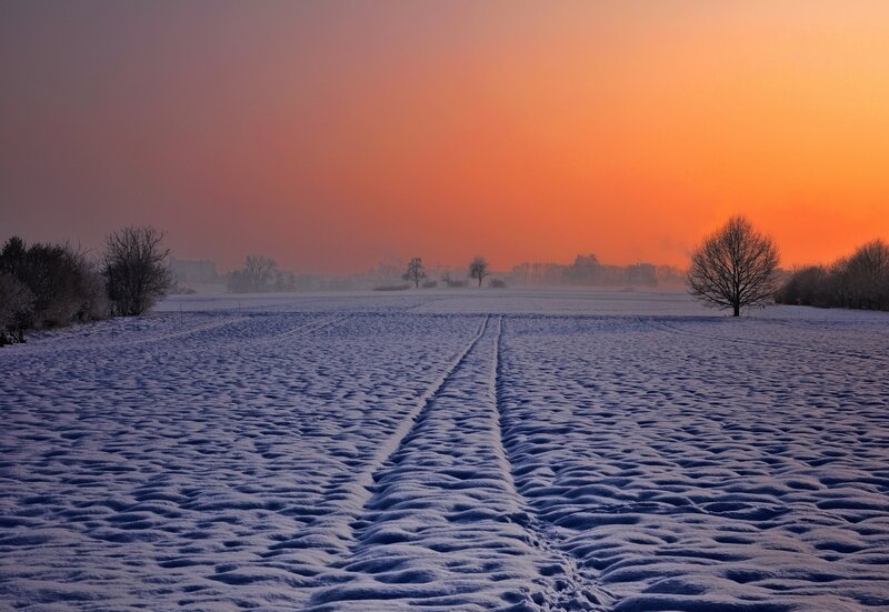 Snow-covered Field at Sunset — Orange, Serene, Photograph, Trees