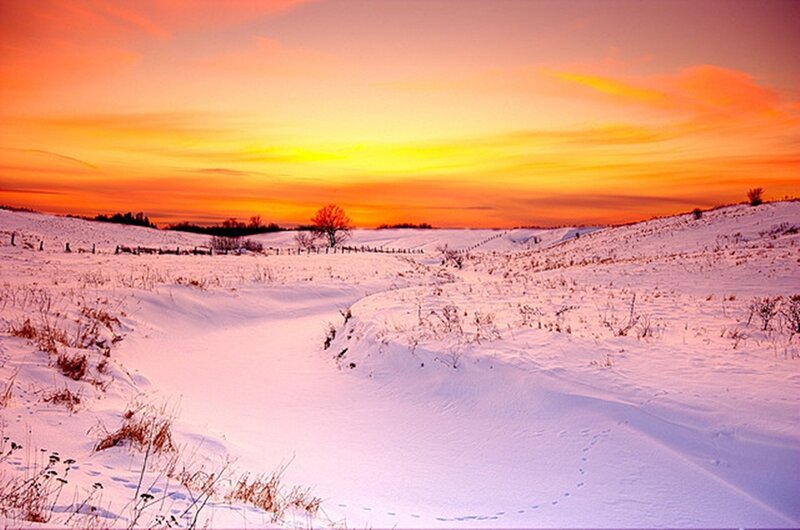 Snow-covered Field at Sunset — Orange, Serene