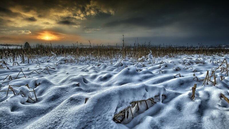 Snow-covered Field at Sunset — White, Dramatic, Winter