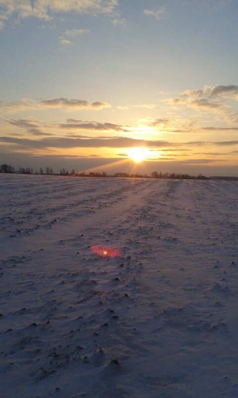 Snow-covered Field at Sunset — White, Serene, Photograph, Sun, Clouds