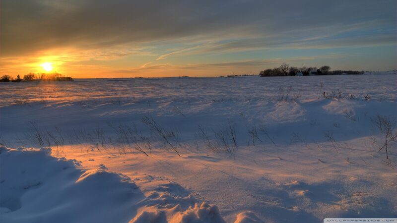 Snow-covered Field at Sunset — White, Serene, Photograph