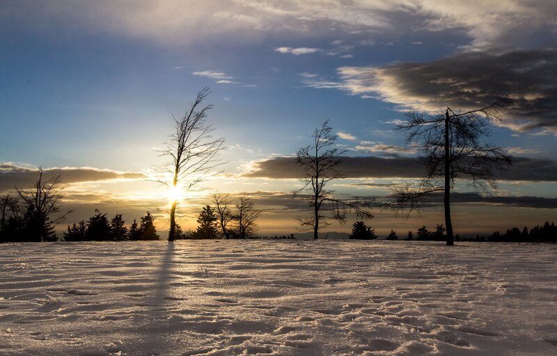 Snow-covered Field at Sunset — White, Serene, Photograph, Trees, Sun, Clouds
