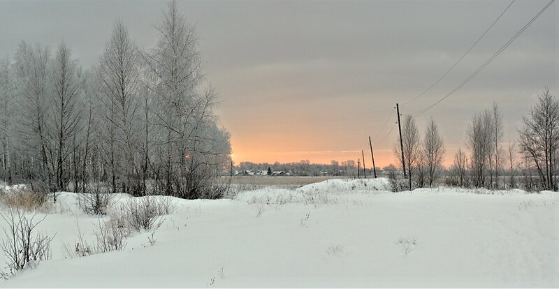 Snow-covered Field at Sunset — White, Serene, Photograph, Trees
