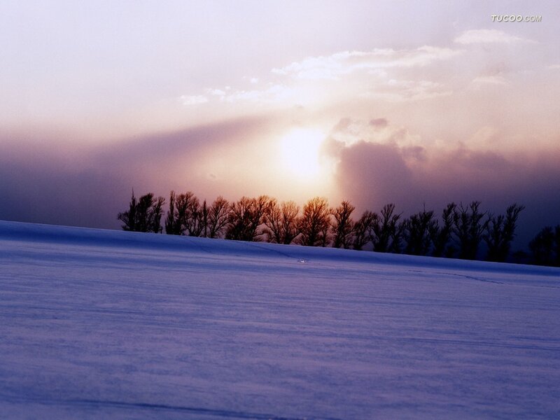 Snow-covered Field at Sunset — White