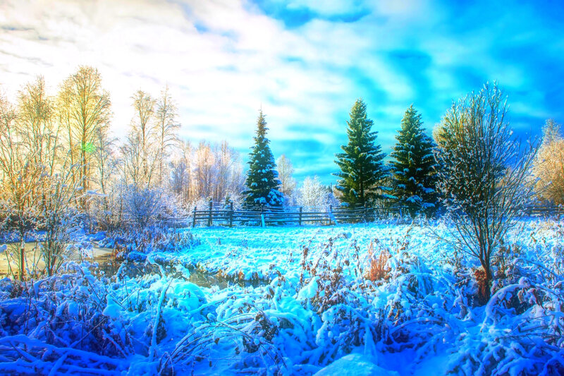 Snow-covered Field — Blue, Serene
