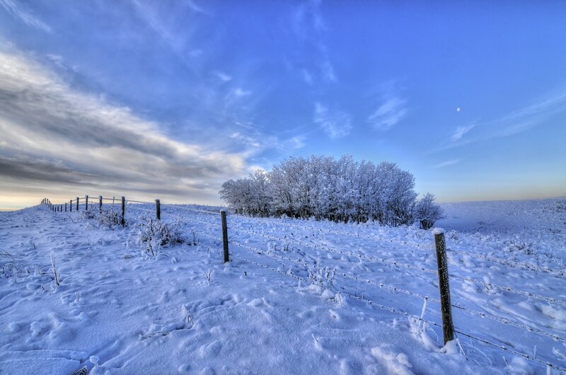 Snow-covered Field — Blue, Serene, Winter, Photograph