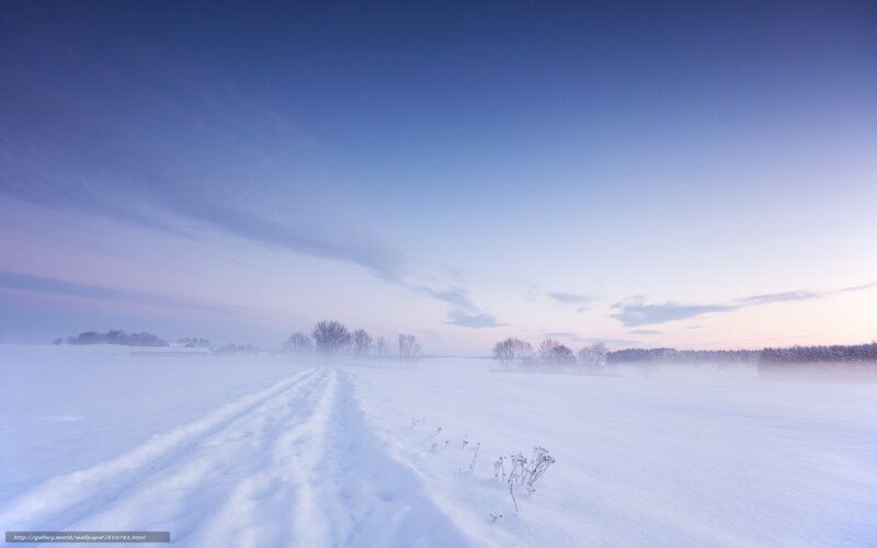 Snow-covered Field — Blue, Serene, Winter